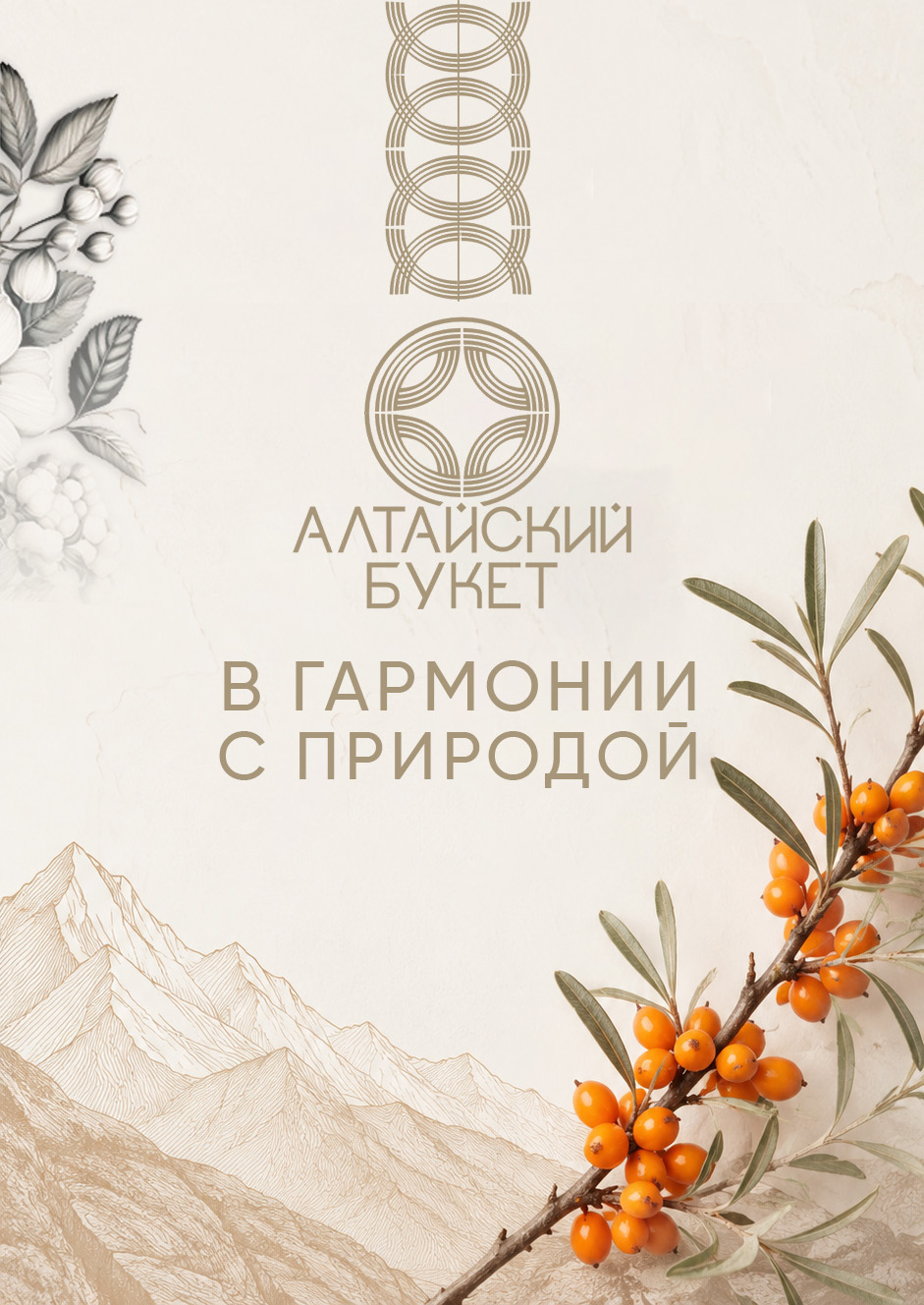 Ягоды для морса